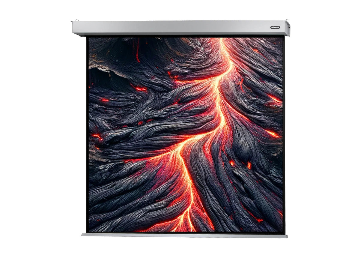 Celexon Projector screen Electric Professional Plus