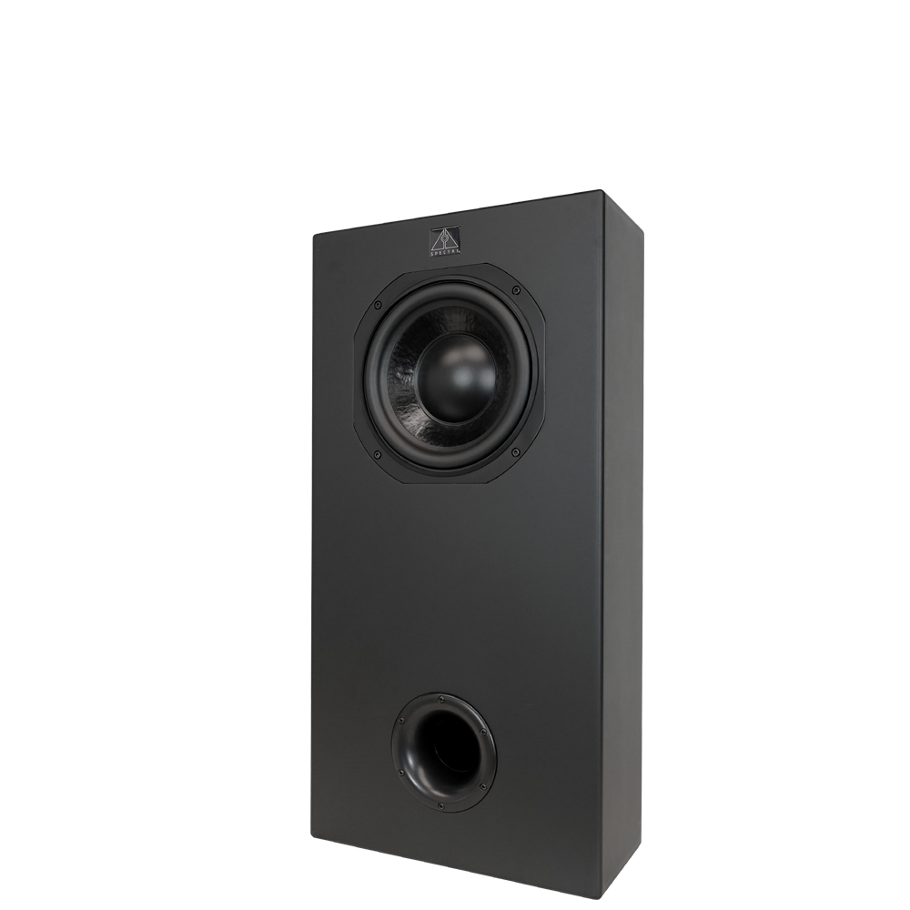 Spectre DB10 Subwoofer