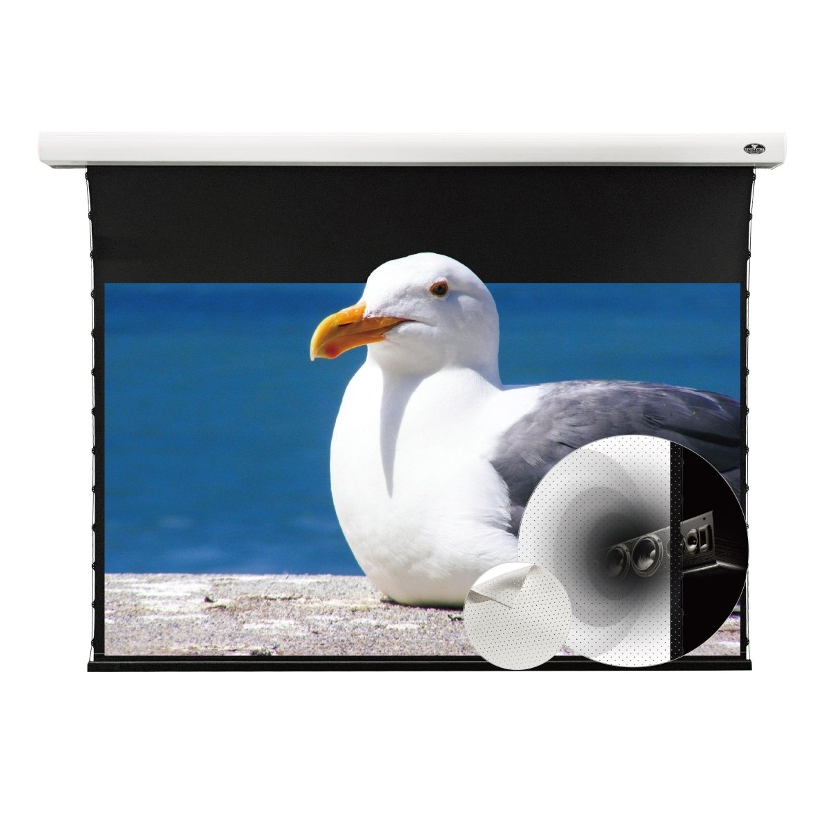 VIVIDSTORM White Cinema P Perforated Slimline Motorized Tension Projector Screen