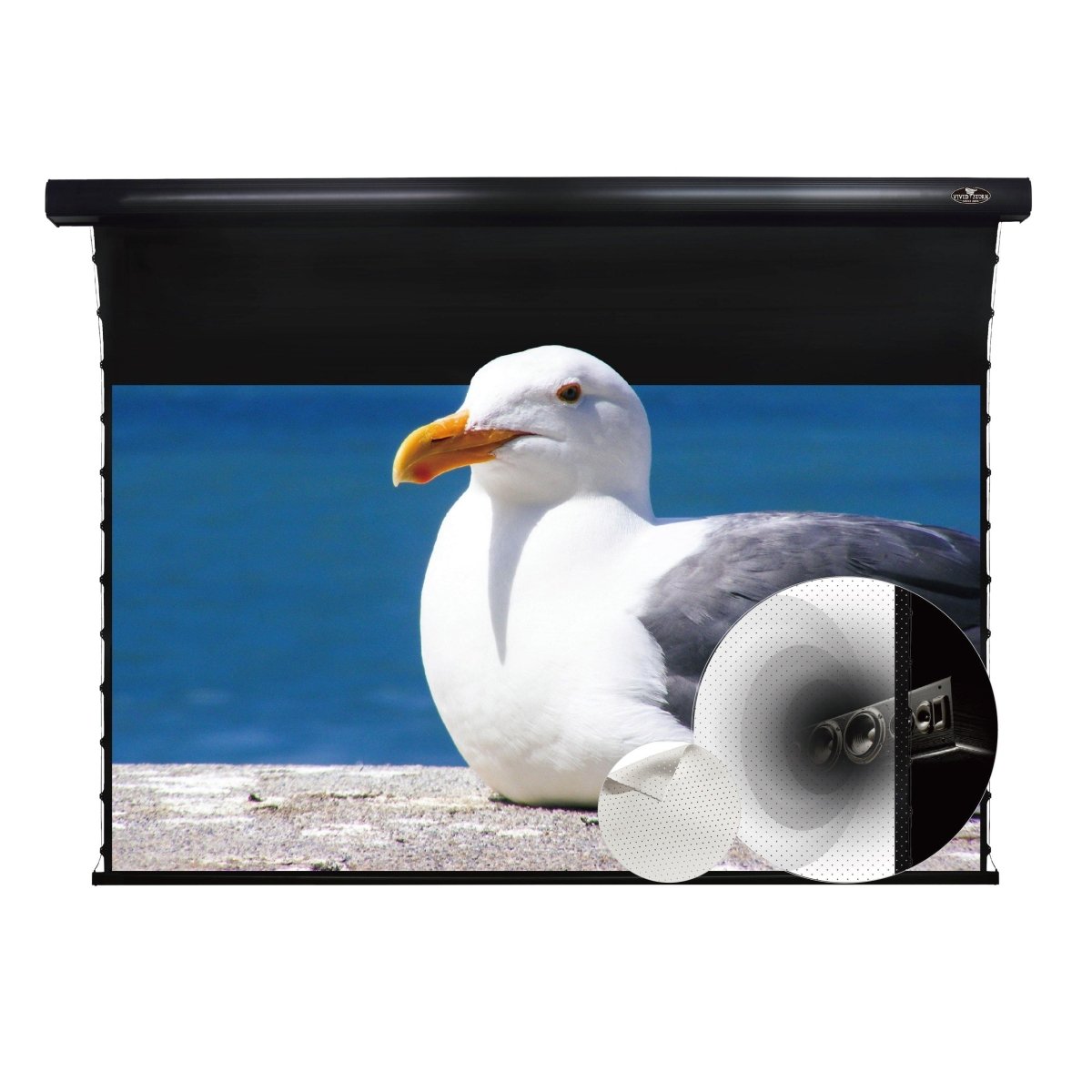 VIVIDSTORM White Cinema P Perforated Slimline Motorized Tension Projector Screen