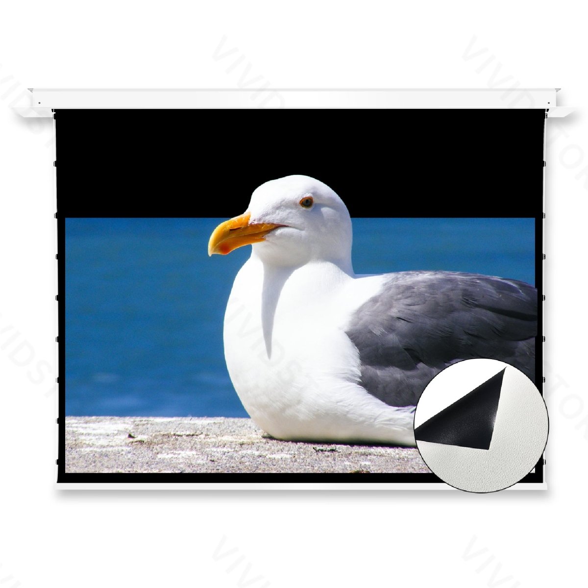 VIVIDSTORM PHANTOM Recessed In-Ceiling Motorized Tension White Cinema Projector Screen (For All Projectors)