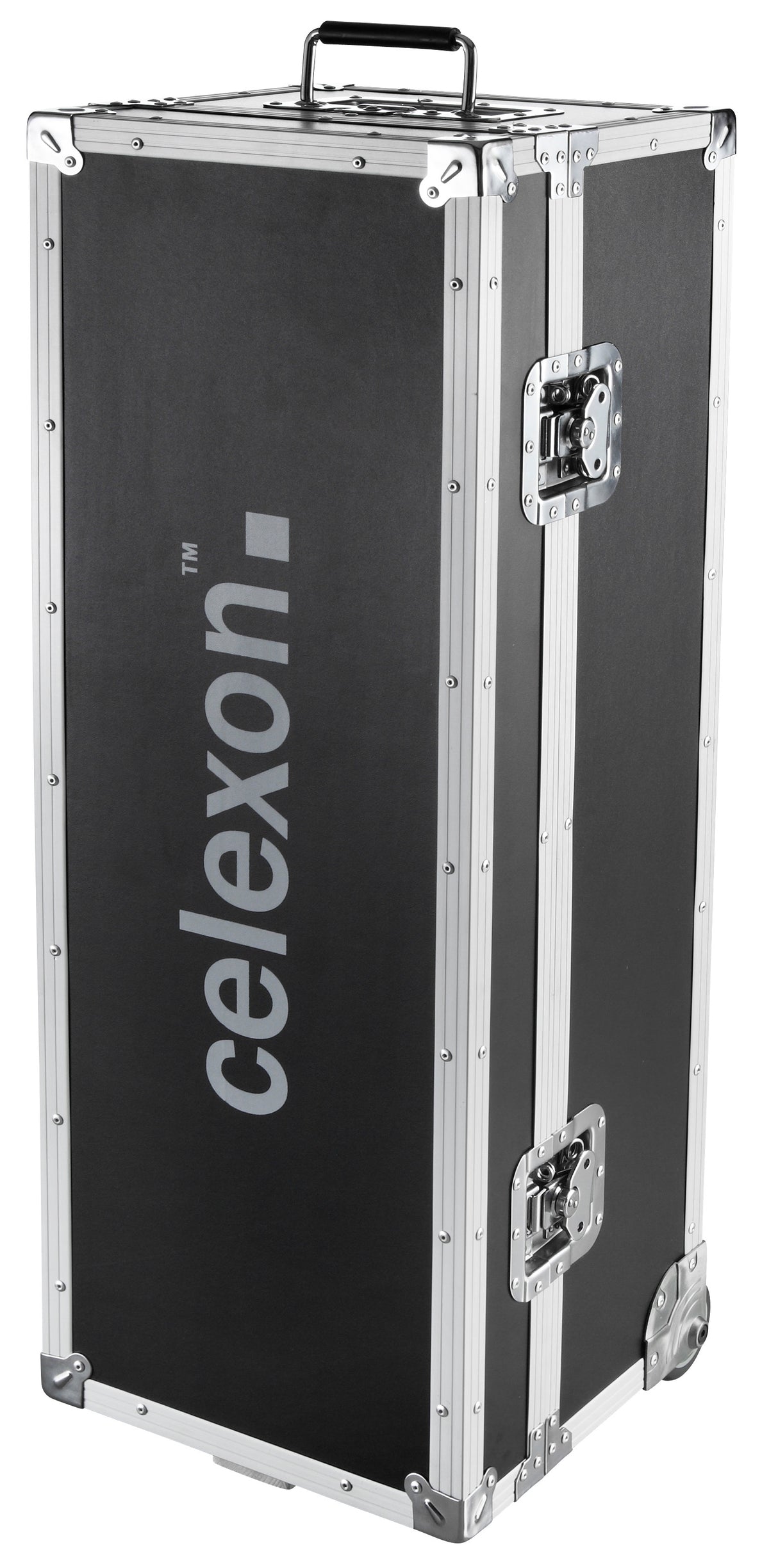 celexon Folding Frame Projector screen Mobile Expert, front projection