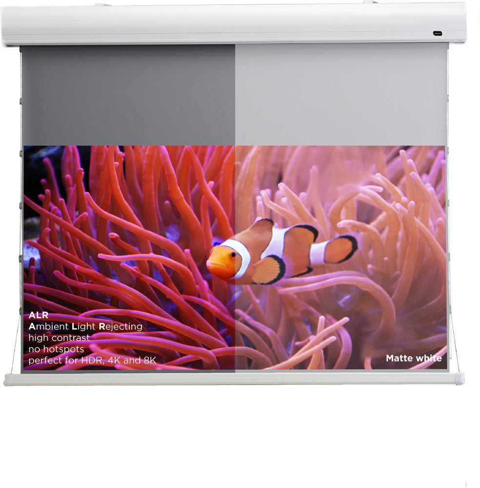 celexon HomeCinema High Contrast projector screen Tension - Dynamic Slate ALR