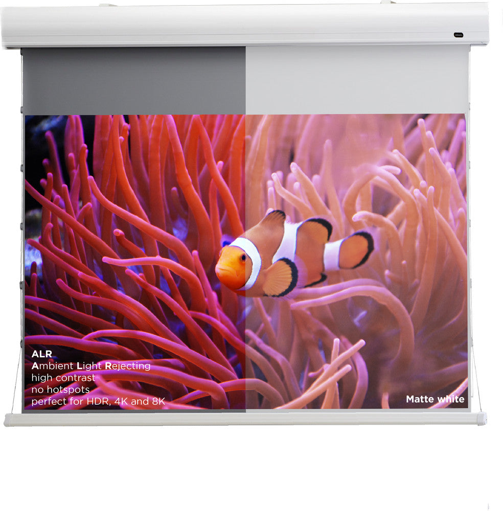 celexon HomeCinema High Contrast projector screen Tension - Dynamic Slate ALR