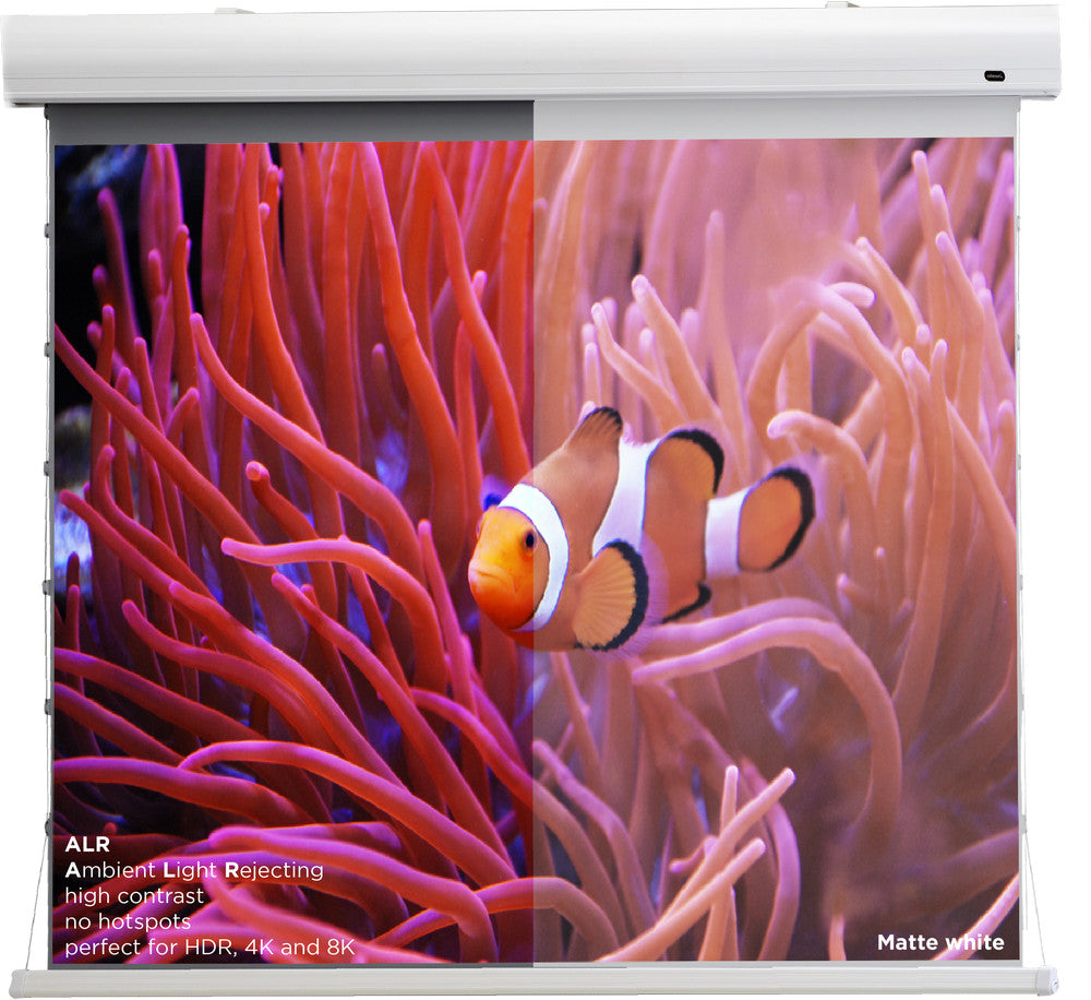 celexon HomeCinema High Contrast projector screen Tension - Dynamic Slate ALR