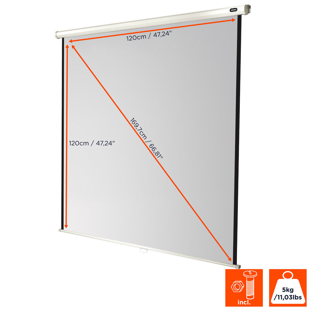 celexon Projector screen Manual Economy
