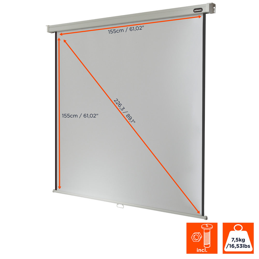 celexon Projector screen Manual Professional