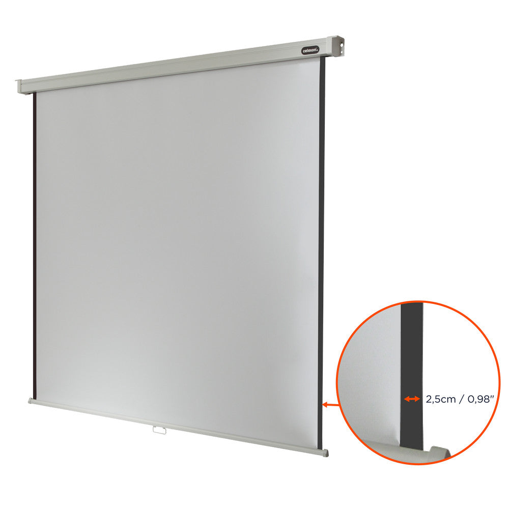 celexon Projector screen Manual Professional