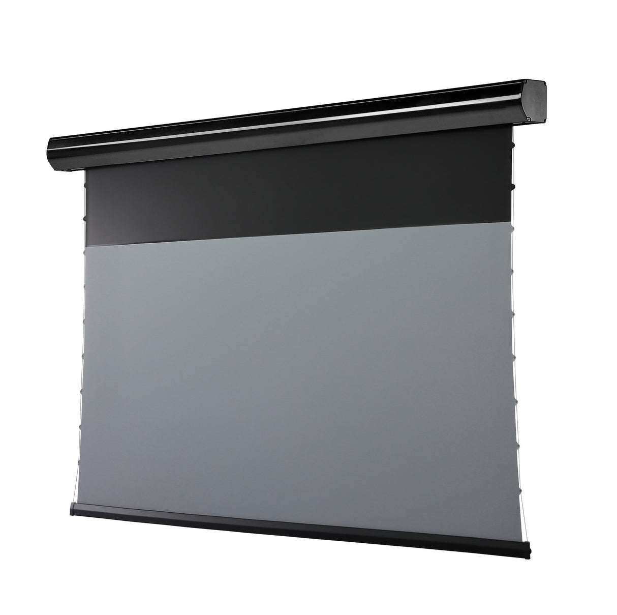 celexon Screen Electric HomeCinema Plus Tension Projector Screen - CLR UST Black