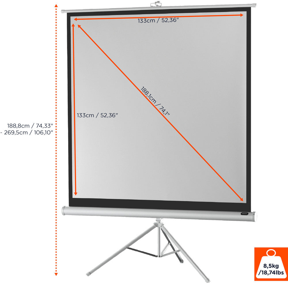 celexon screen Tripod Economy Projector Screen - white edition