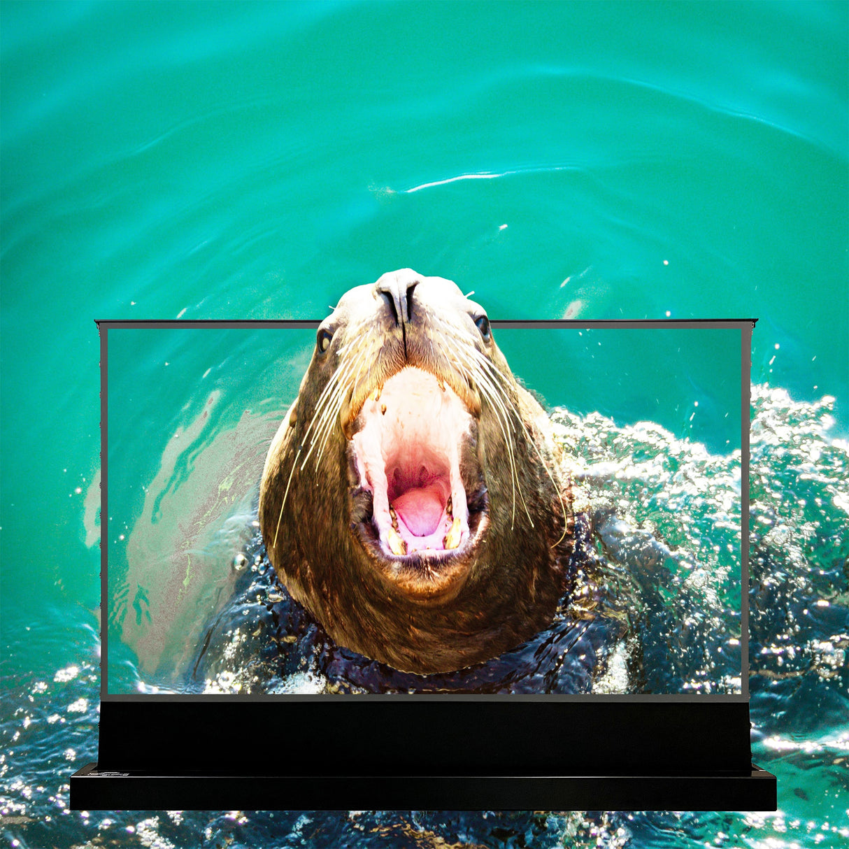 Pantalla acústica elevable con suelo tensado eléctrico VividStorm S PRO (UST)