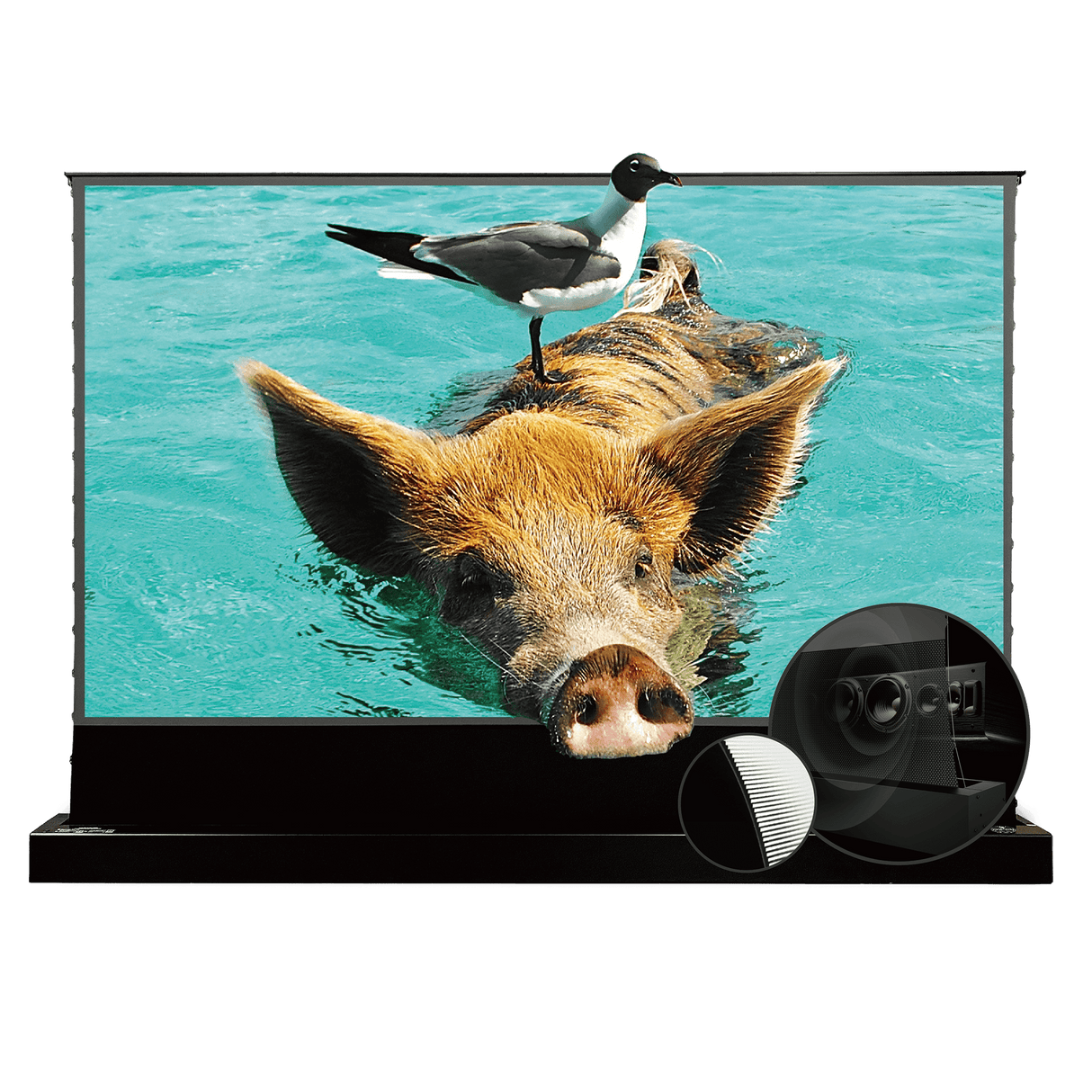 Pantalla acústica elevable con suelo tensado eléctrico VividStorm S PRO (UST)