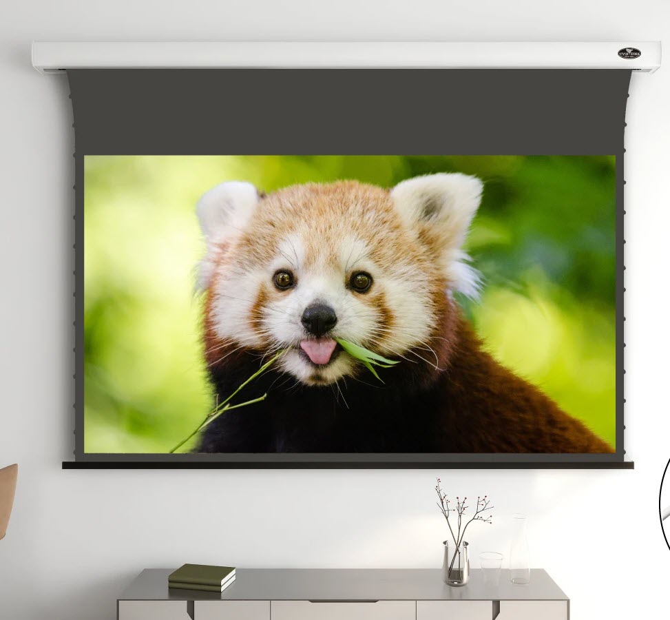 VIVIDSTORM White Cinema Slimline Motorized Tension Projector Screen