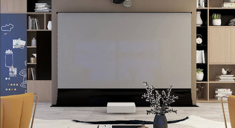 Which Vividstorm Electric Screen Should I Choose ?