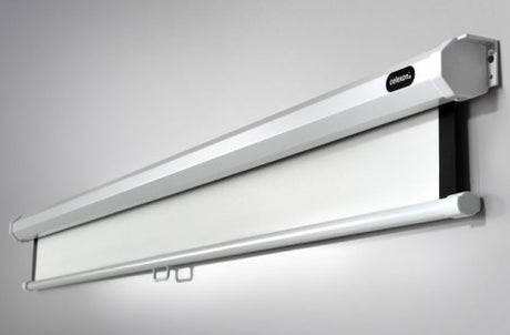 Ceiling / Wall Screens