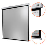 Celexon Projector screen Electric Professional Plus