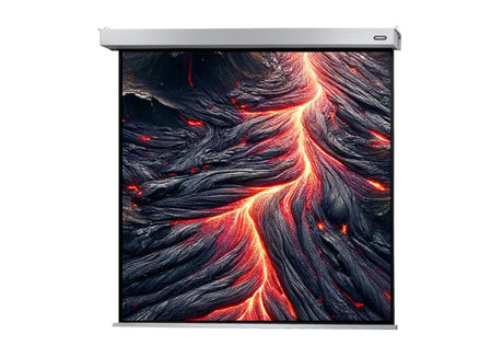 Celexon Projector screen Electric Professional Plus