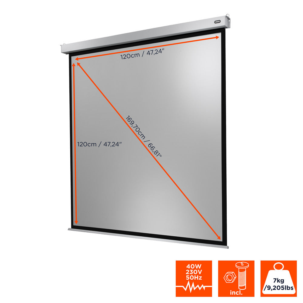 Celexon Projector screen Electric Professional Plus