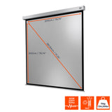 Celexon Projector screen Electric Professional Plus