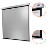 Celexon Projector screen Electric Professional Plus