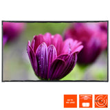 celexon Basic Line Mobile Folding Frame Screen