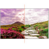 celexon CLR HomeCinema UST high contrast framed screen V2.0