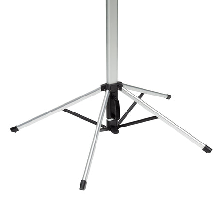 celexon Dual Format Tripod Screen Mobile Expert 4:3/16:10