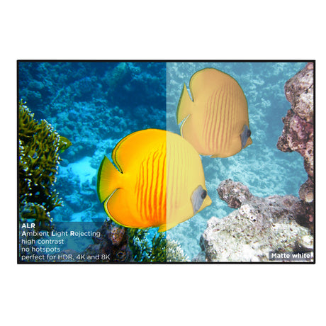 celexon HomeCinema High Contrast Frame Projector Screen - Dynamic Slate ALR
