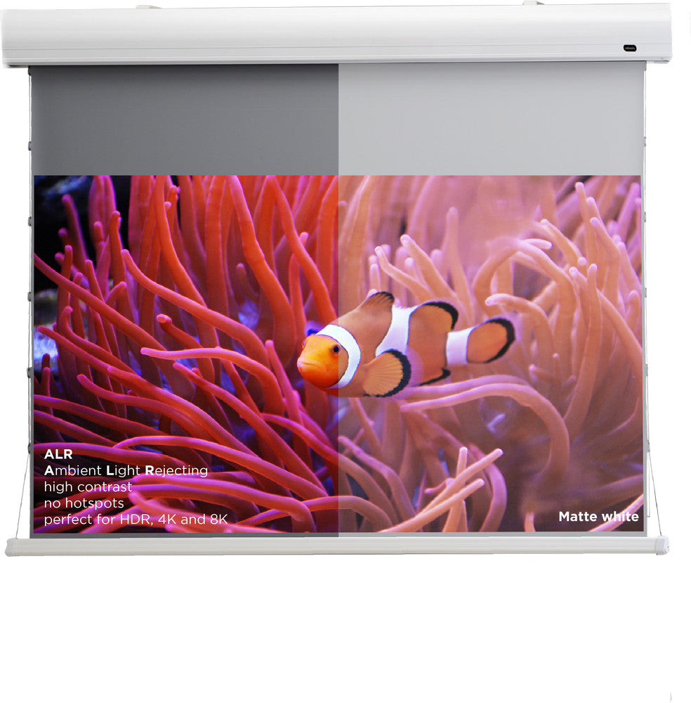 celexon HomeCinema High Contrast projector screen Tension - Dynamic Slate ALR