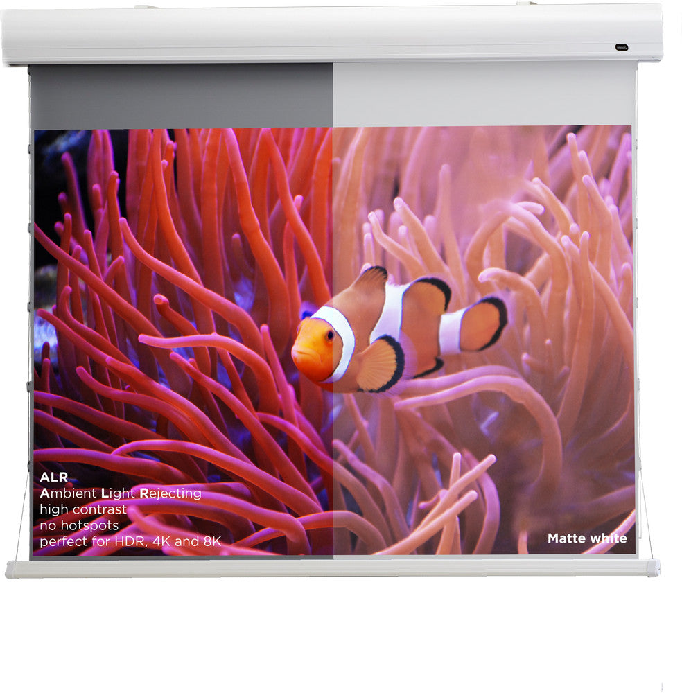 celexon HomeCinema High Contrast projector screen Tension - Dynamic Slate ALR
