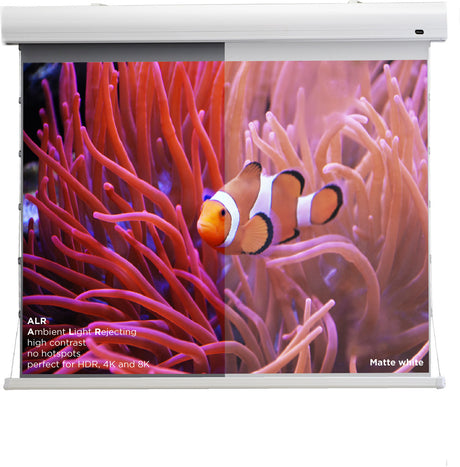 celexon HomeCinema High Contrast projector screen Tension - Dynamic Slate ALR