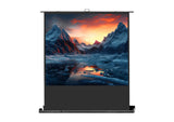 celexon Mobile Professional Plus Projector screen