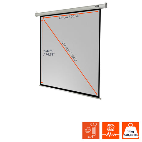 celexon Projector Screen Electric Economy