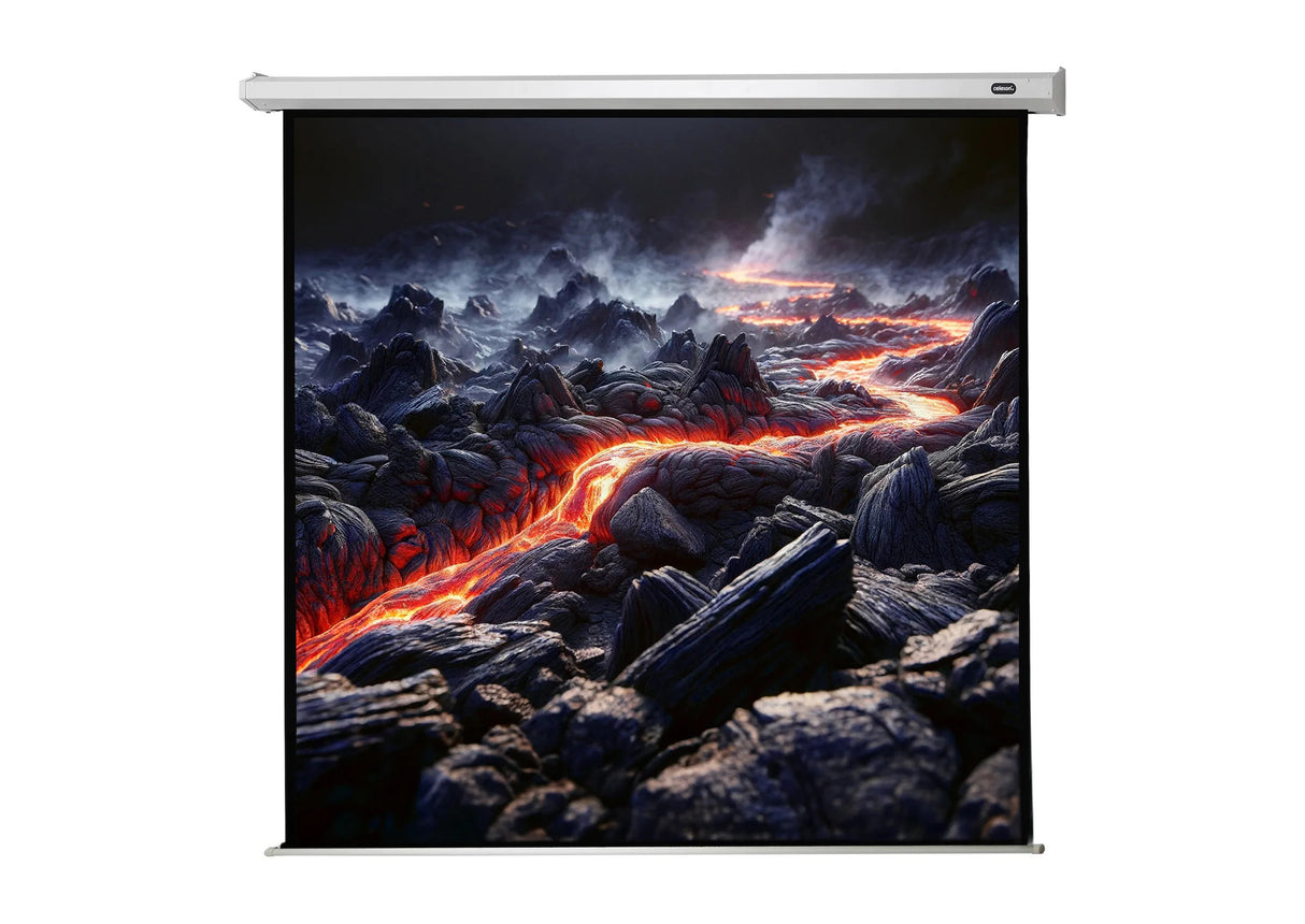 celexon Projector Screen Electric Economy