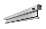 celexon Projector Screen Electric Professional