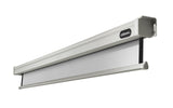 celexon Projector Screen Electric Professional