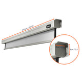 celexon Projector Screen Electric Professional