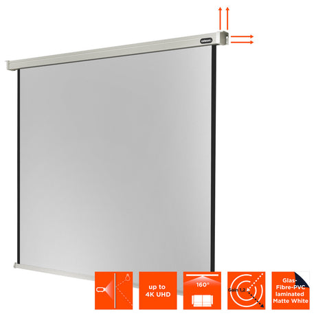 celexon Projector Screen Electric Professional