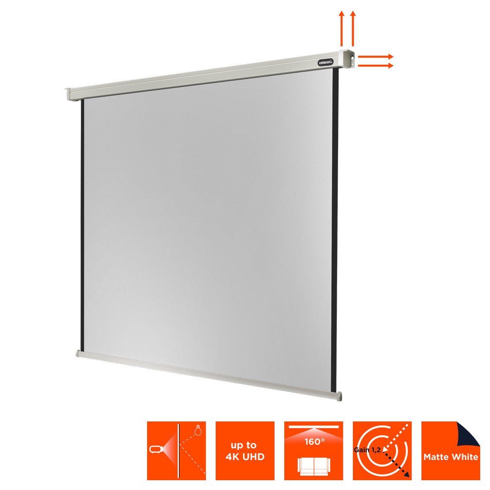celexon Projector Screen Electric Professional