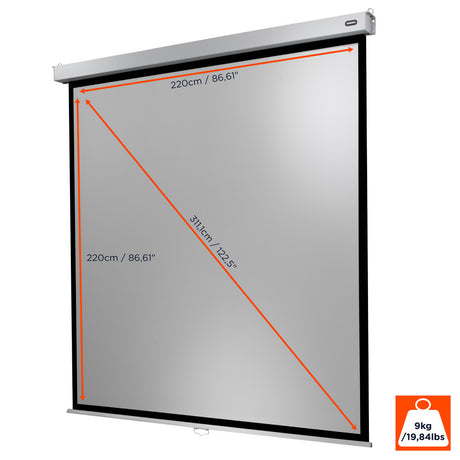 celexon Projector Screen Manual Professional Plus