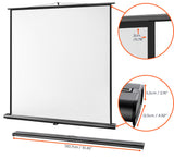 celexon Projector Screen Ultramobile Professional