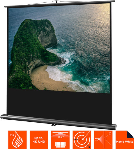 celexon Projector Screen Ultramobile Professional