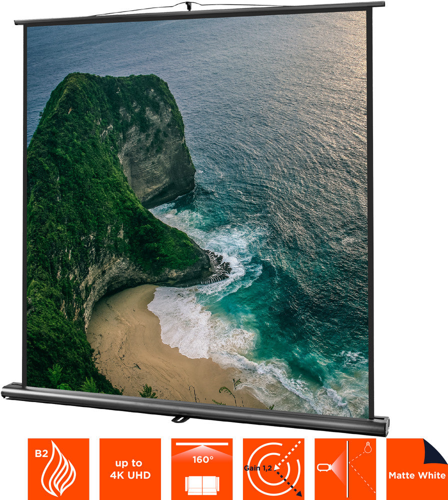 celexon Projector Screen Ultramobile Professional