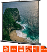 celexon Projector Screen Ultramobile Professional