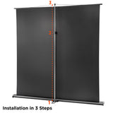 celexon Projector Screen Ultramobile Professional