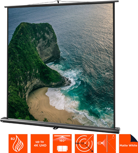 celexon Projector Screen Ultramobile Professional