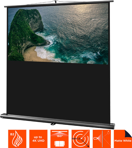 celexon Projector Screen Ultramobile Professional