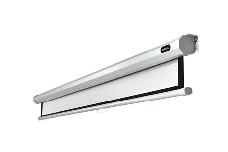 celexon Projector screen Manual Economy