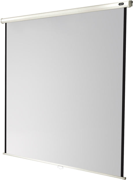 celexon Projector screen Manual Economy