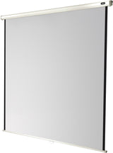 celexon Projector screen Manual Economy